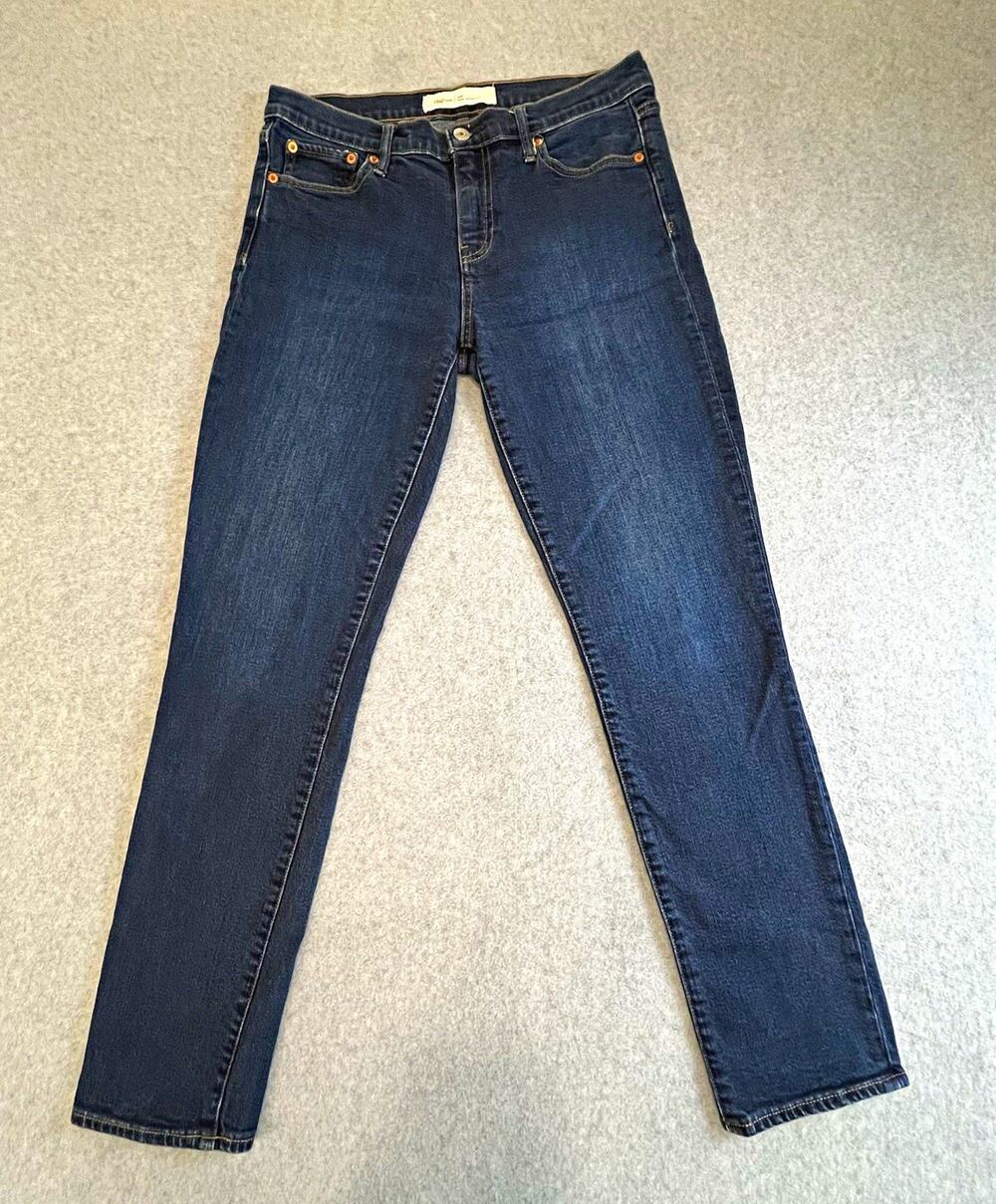 Gap 1969 Men's Straight Fit Dark Wash Blue Stretch Denim Jeans 5-Pocket Sz 29R